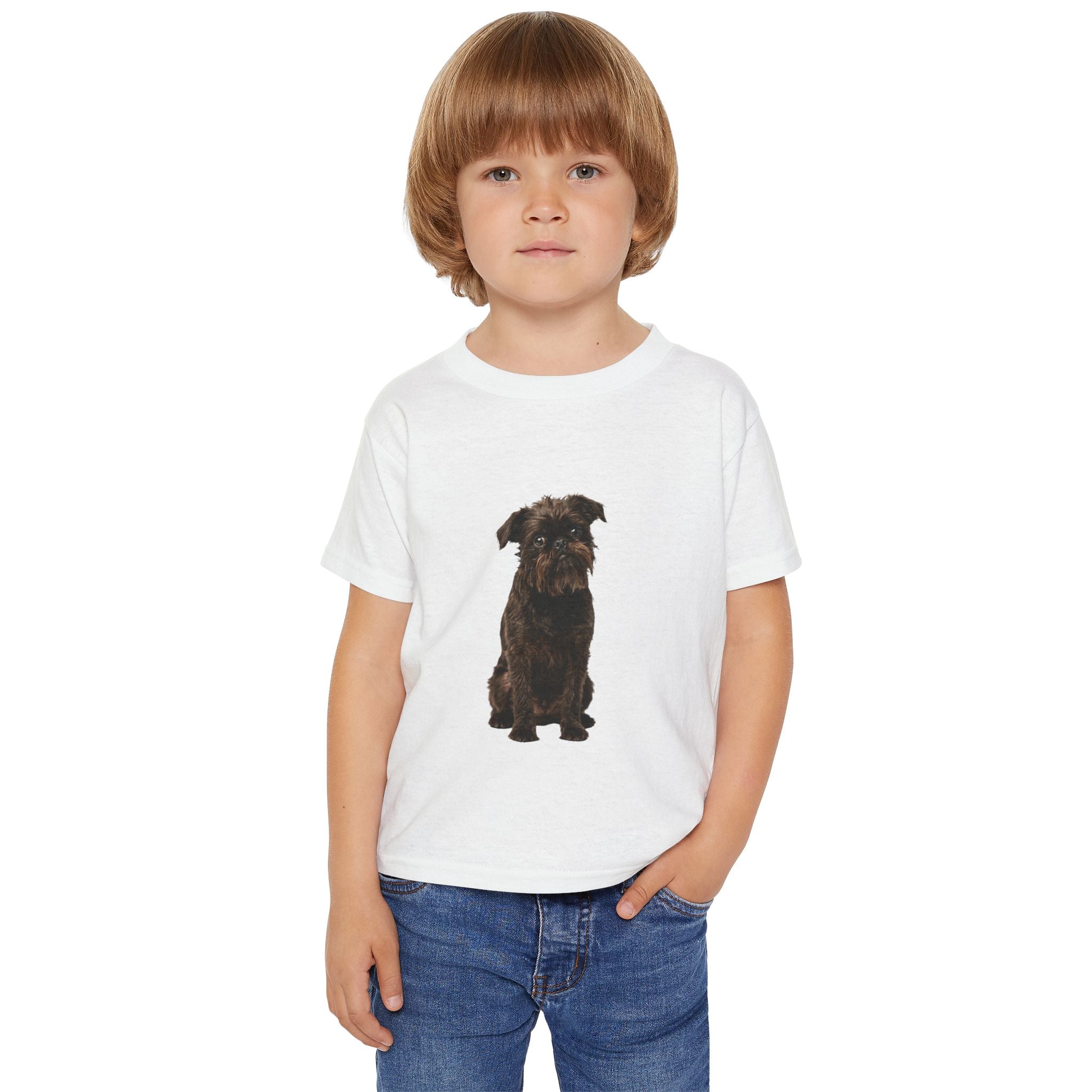 Gizmo - Brussels Griffon in Colour