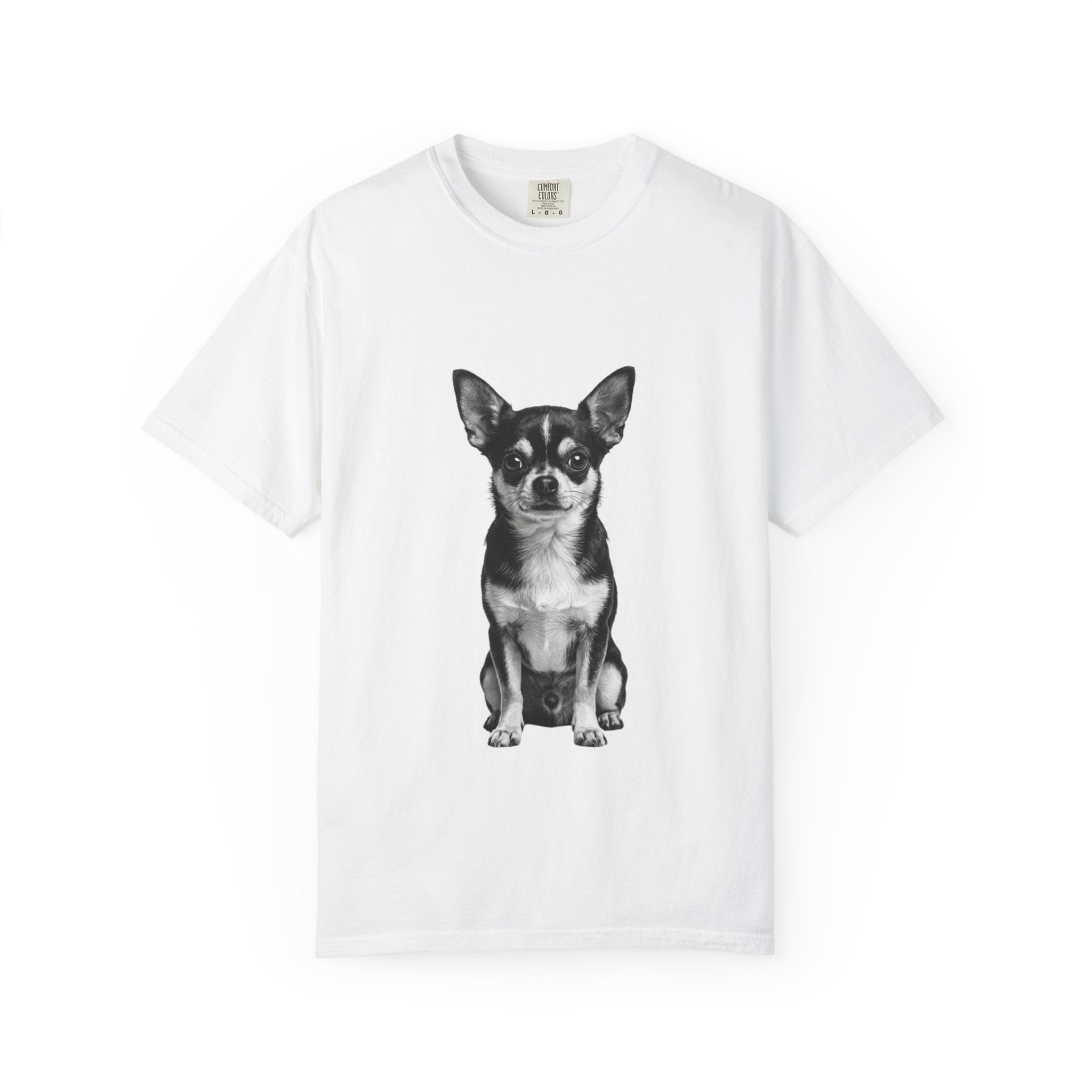 Pixie - Chihuahua