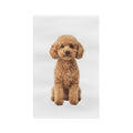 Toy Poodle Caramel - Microfiber Tea Towel