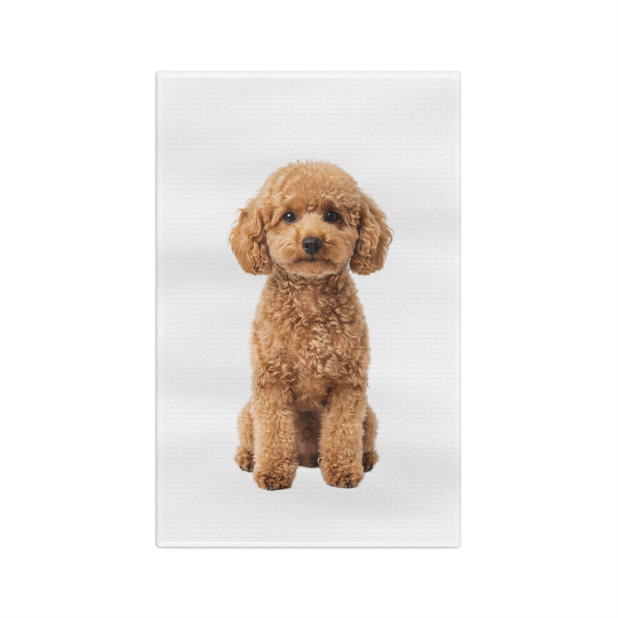 Toy Poodle Caramel - Microfiber Tea Towel