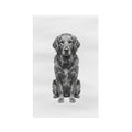 Golden Retriever - Microfiber Tea Towel