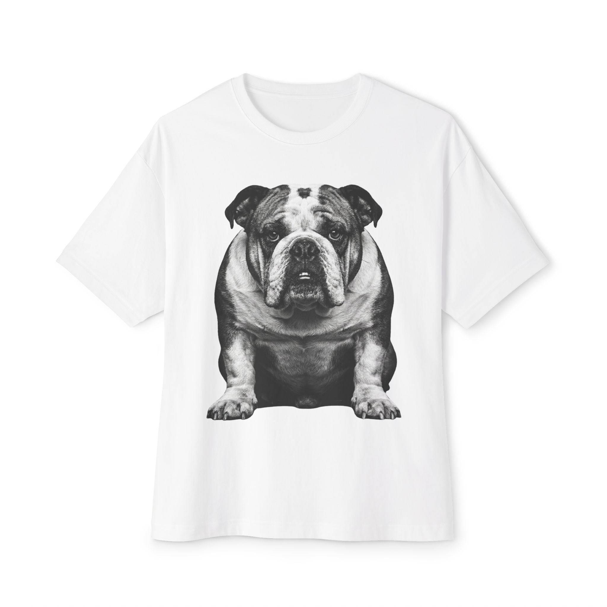 George - English Bulldog