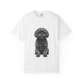 Max - Shih Tzu