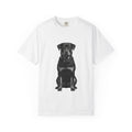 Brutus - Rottweiler
