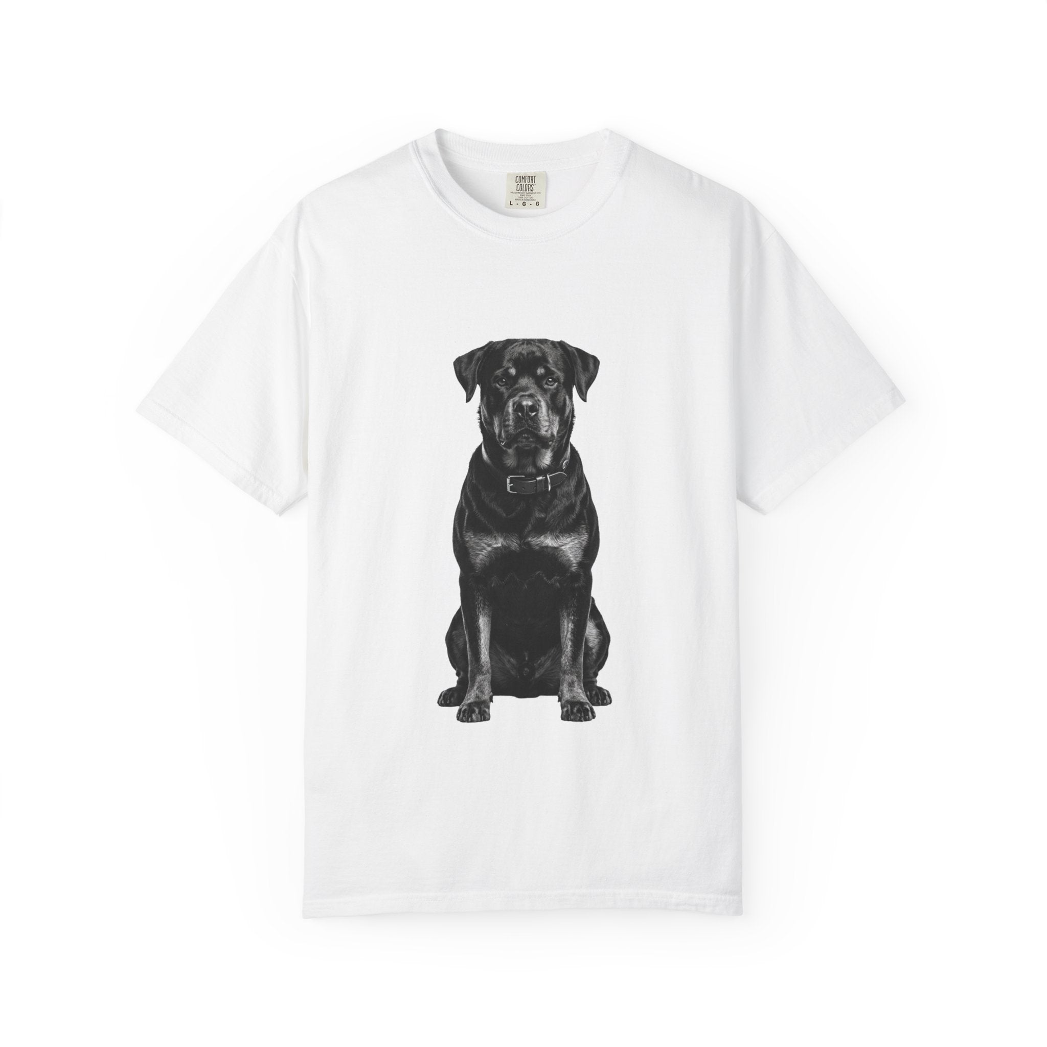 Brutus - Rottweiler