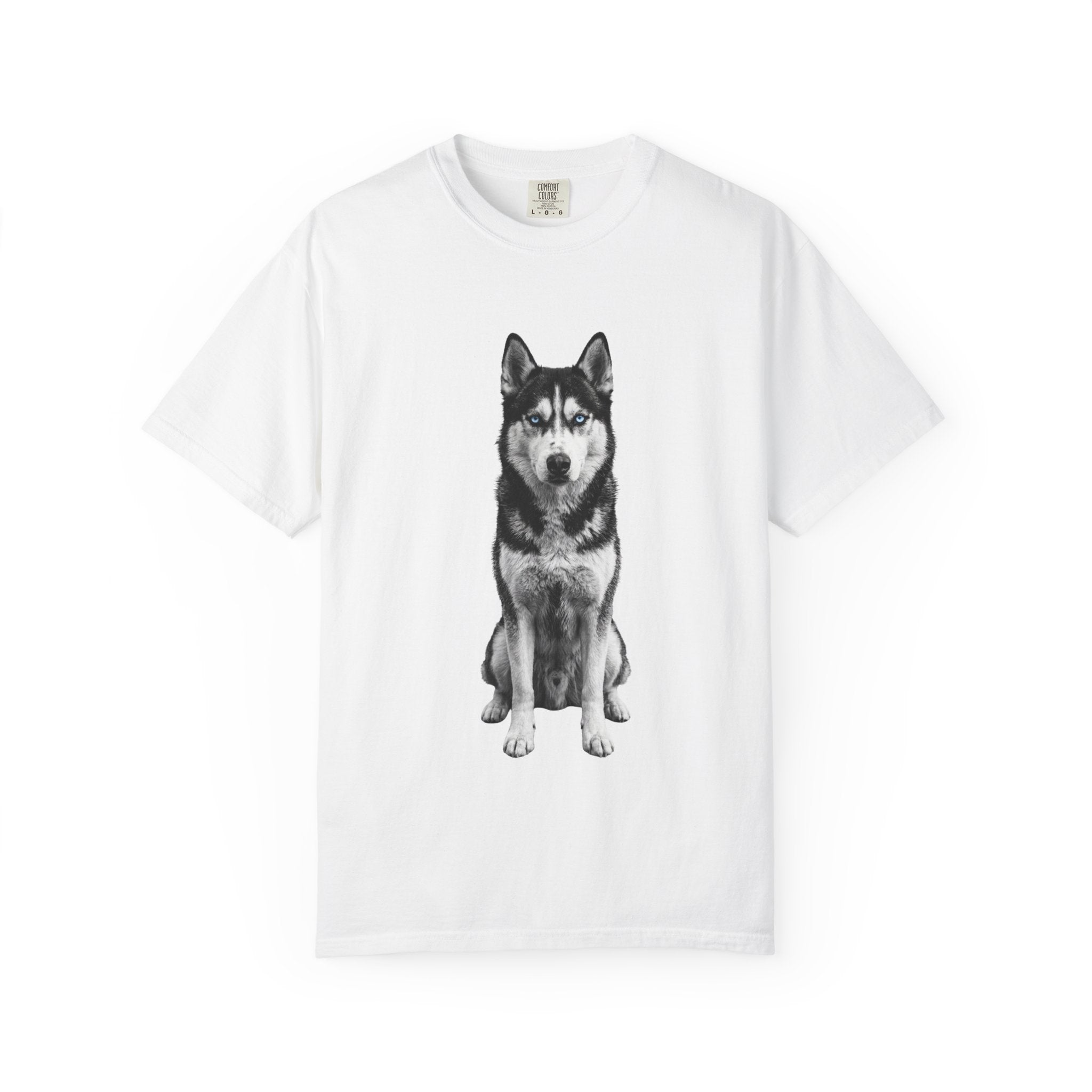 Kiro - Blue-Eyed Husky