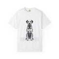 Tommy - Dalmatian