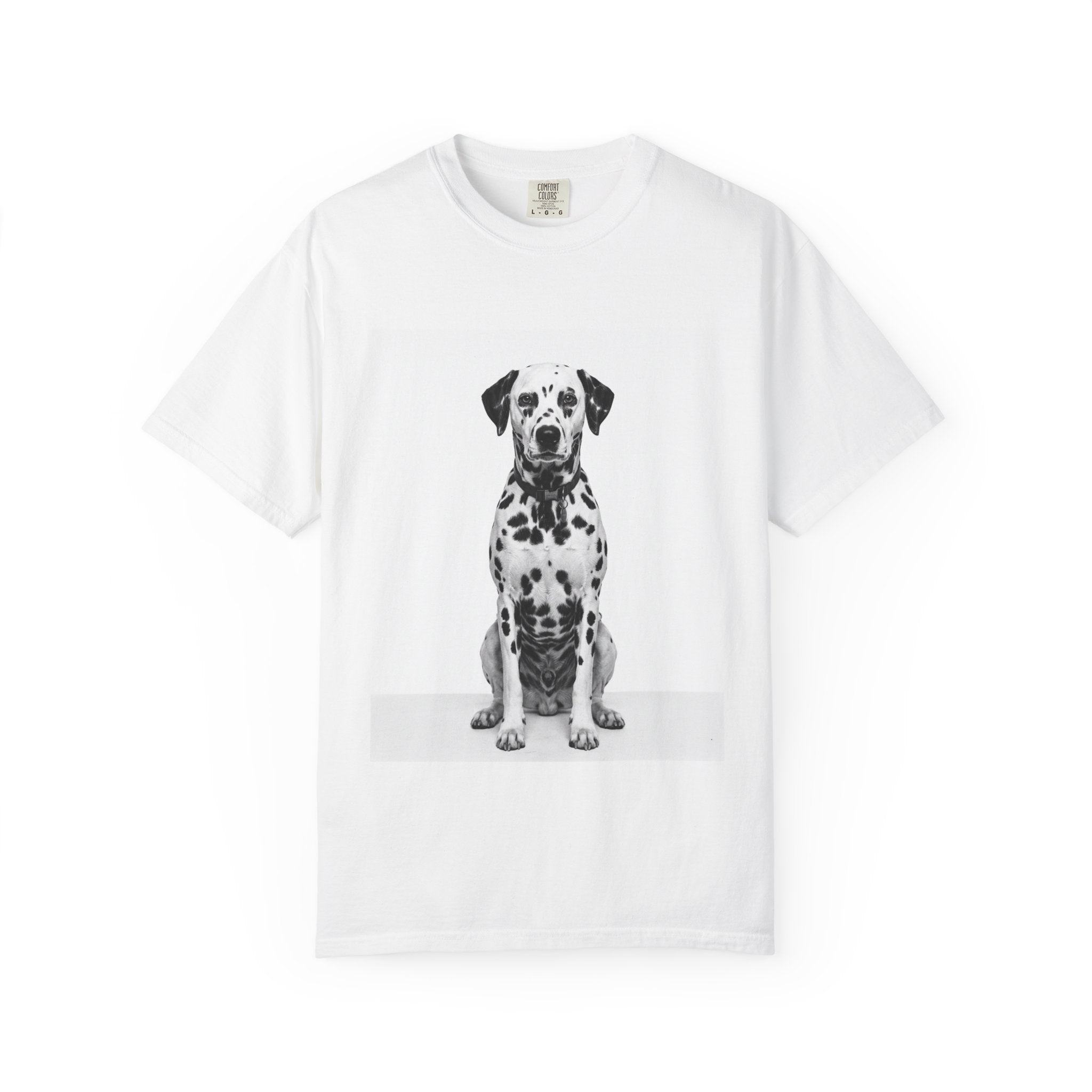 Tommy - Dalmatian