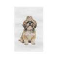 Shih Tzu Multicolour - Colour Tea Towel