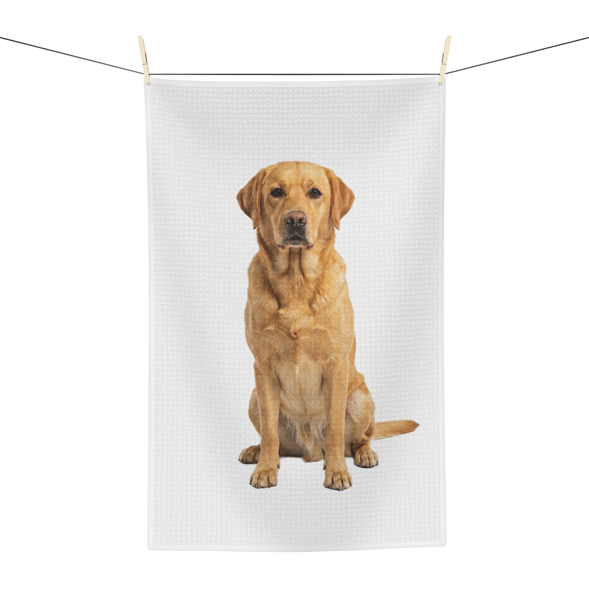 Labrador Retriever - Microfiber Tea Towel