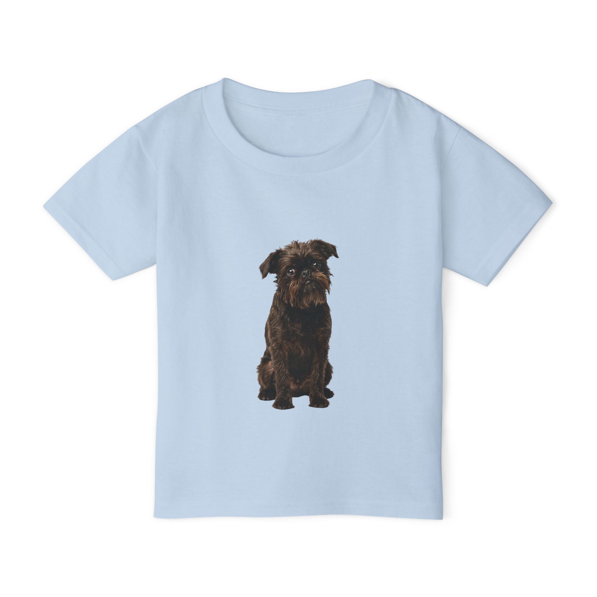 Gizmo - Brussels Griffon in Colour