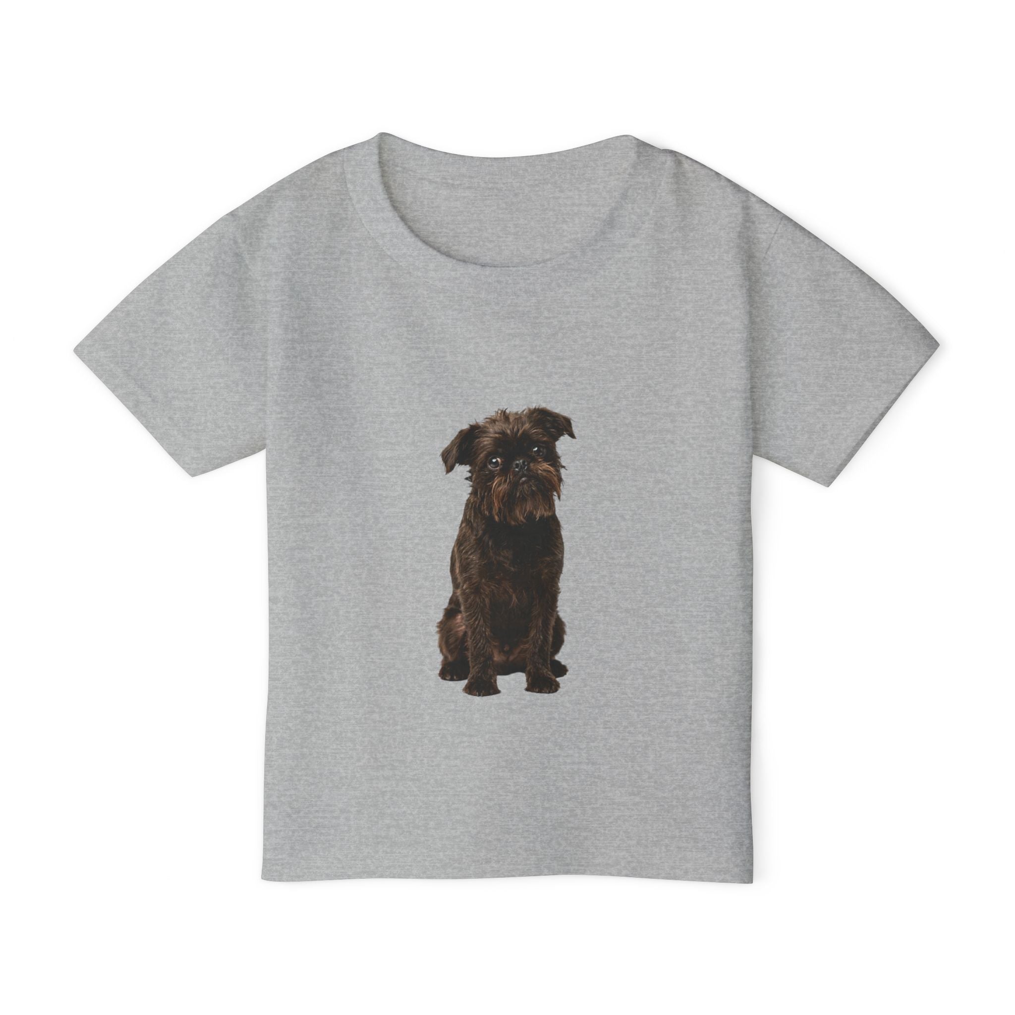 Gizmo - Brussels Griffon in Colour