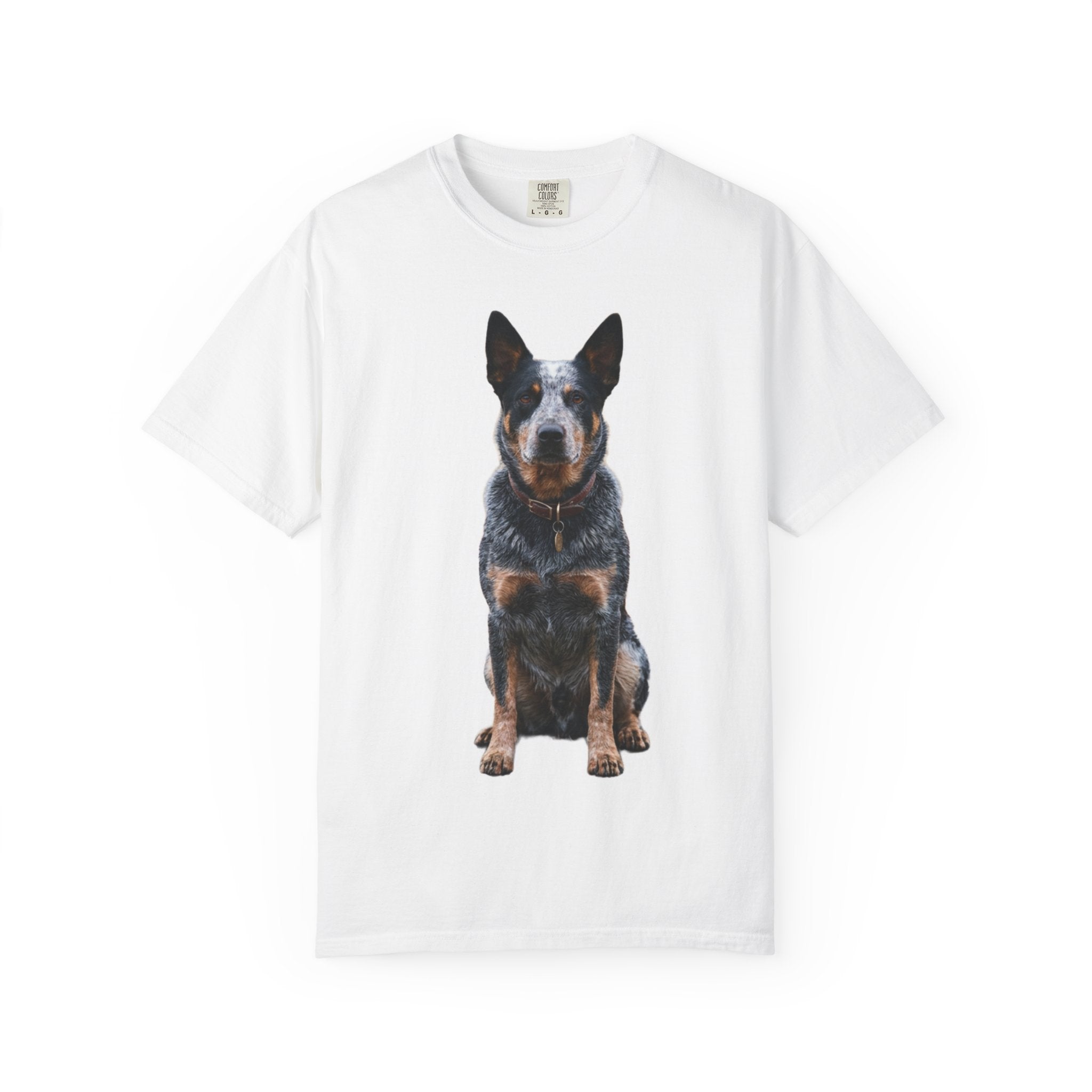 Reg - Cattle Dog