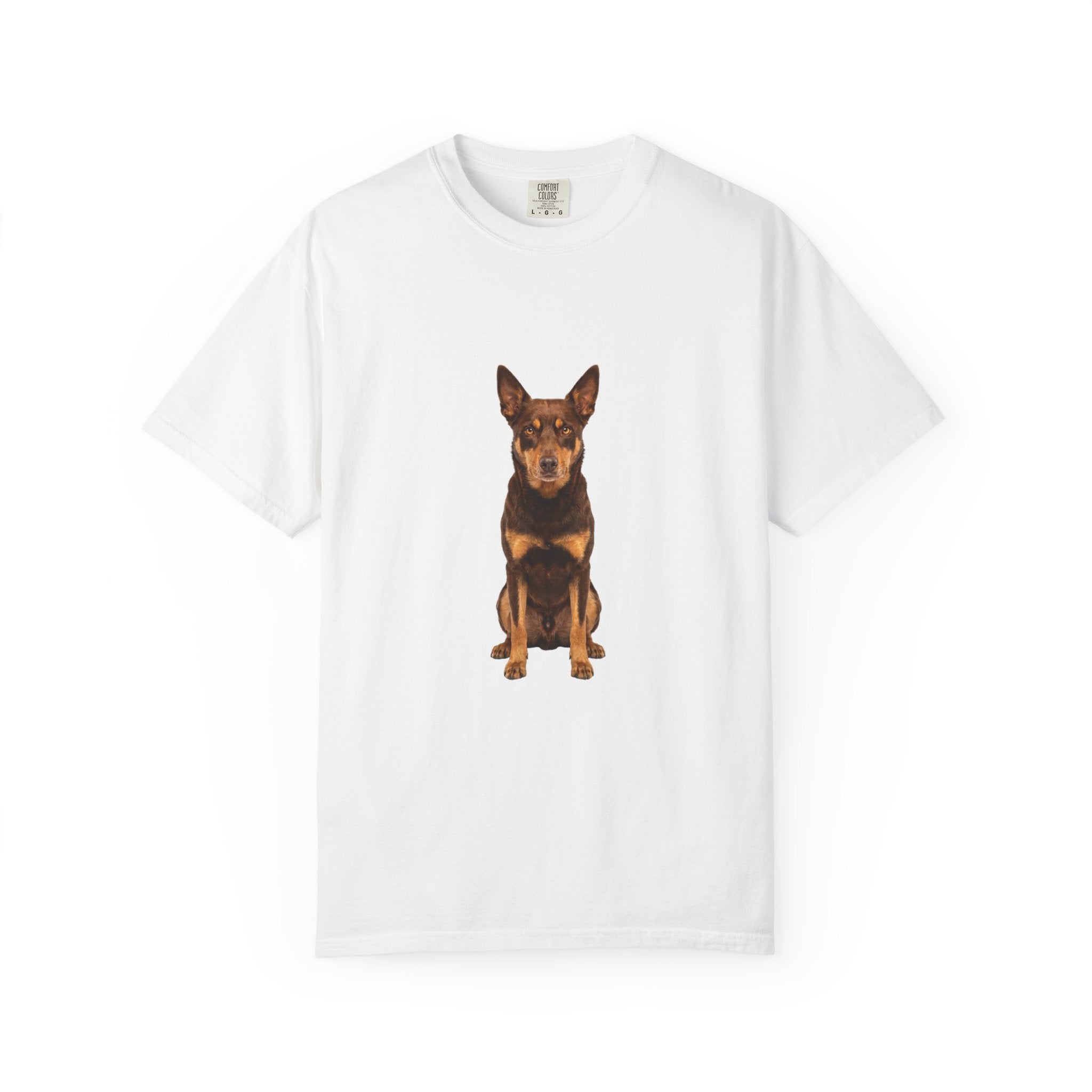 Roy - Kelpie