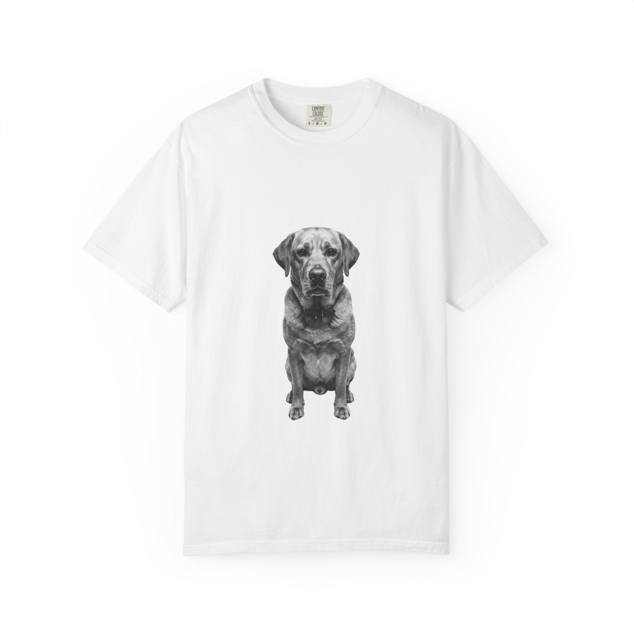 Goldie - Labrador