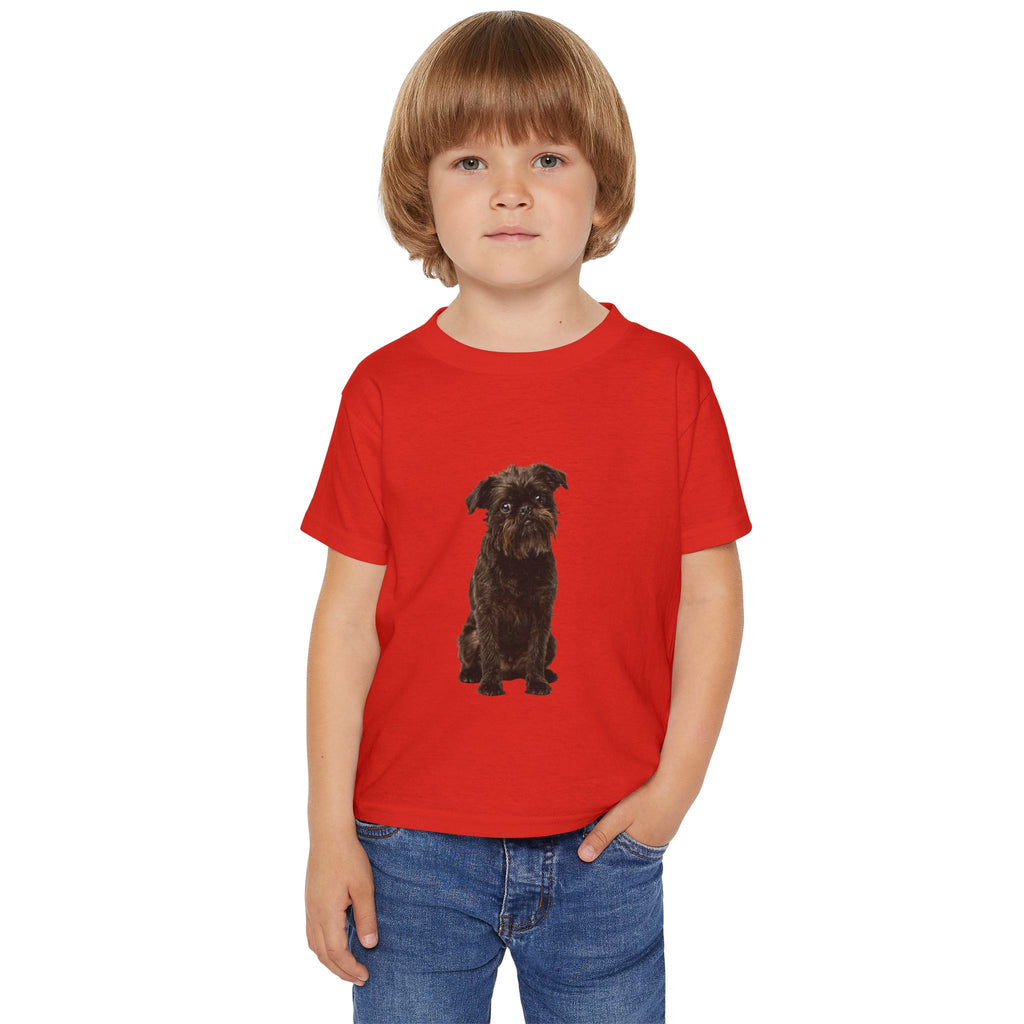 Gizmo - Brussels Griffon in Colour