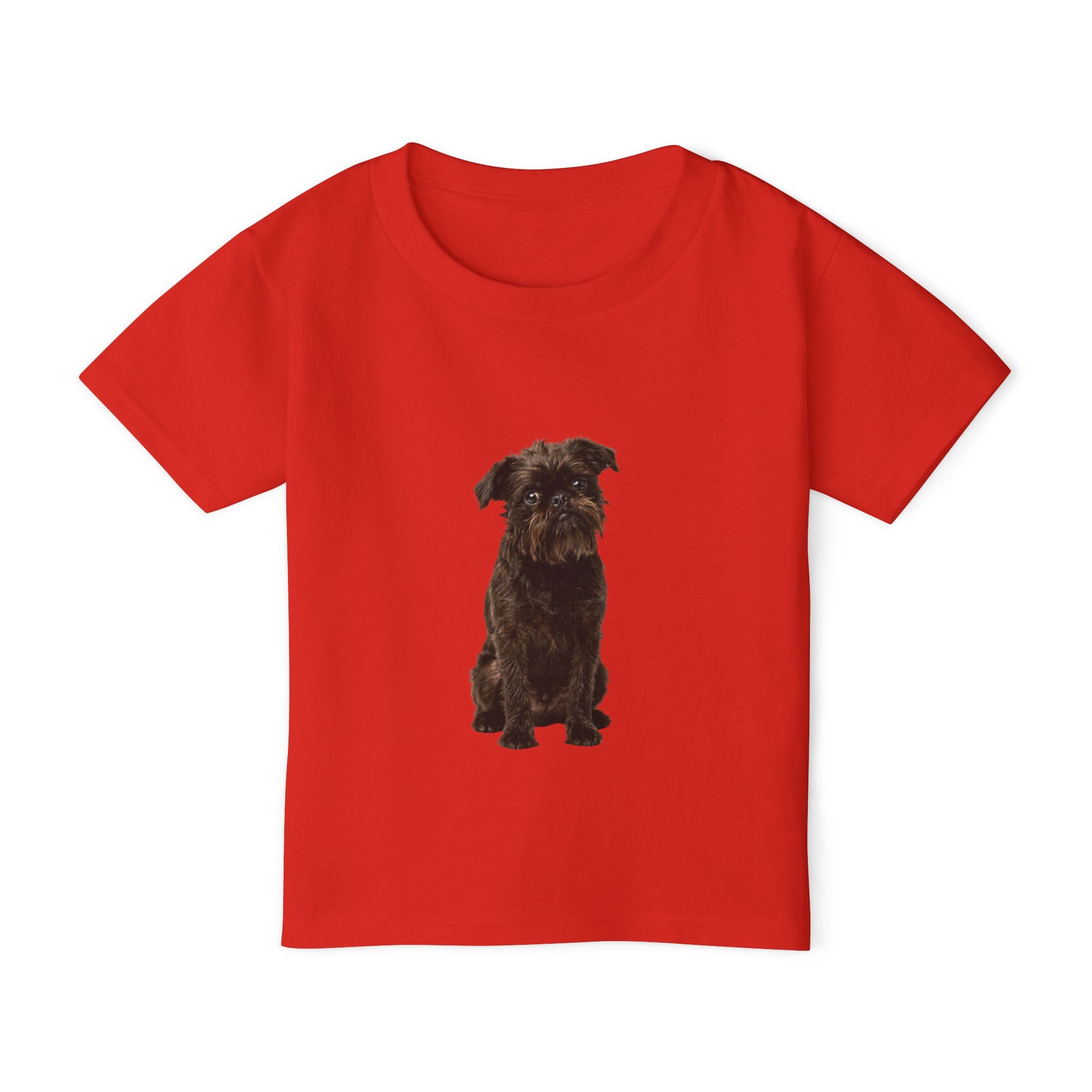 Gizmo - Brussels Griffon in Colour